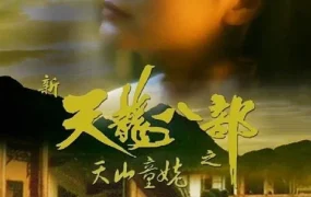 香港电影新天龙八部之天山童姥 新天龙八部之天山童姥粤语版