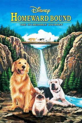 粤语配音电影猫狗也疯狂 看狗在说话 Homeward Bound: The Incredible Journey
