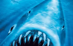 粤语配音电影大白鲨2 大白鲨续集 大白鲨第二部  Jaws 2