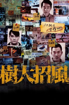 香港电影树大招风 树大招风粤语版