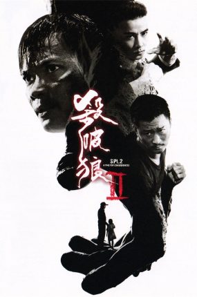 香港电影杀破狼2 杀破狼2粤语版