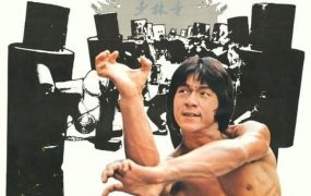 香港电影少林木人巷 少林木人巷粤语版