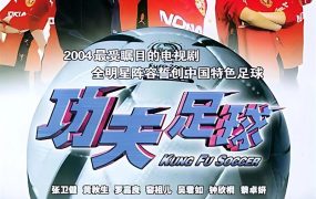 电视剧功夫足球粤语配音版全33集 功夫足球粤语版