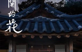 韩剧夜晚开的花粤语配音版全18集 夜之花粤语版