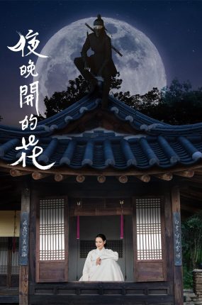 韩剧夜晚开的花粤语配音版全18集 夜之花粤语版