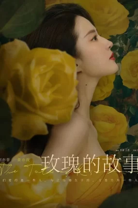 电视剧玫瑰的故事粤语配音版全20集 玫瑰的故事粤语版