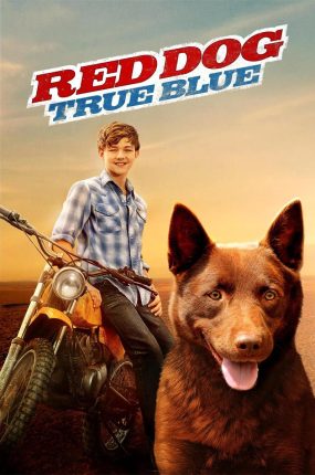 粤语配音电影红犬背包客2：蓝犬 红犬历险记2：蓝犬 Red Dog: True Blue