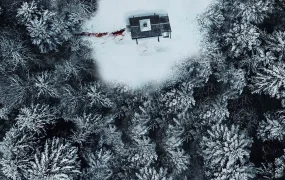 粤语配音电影午夜来吓:血亲 鬼影实录:血亲 鬼入镜:血亲 Paranormal Activity: Next of Kin