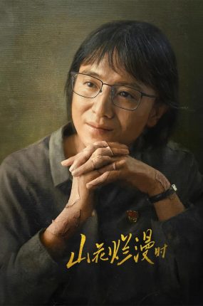 电视剧山花烂漫时粤语配音版全23集 山花烂漫时粤语版