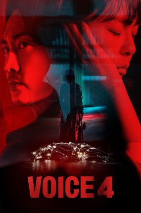 韩剧夺命杀声4粤语配音版全20集 声命线4粤语版