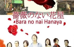 日剧没有玫瑰的花店粤语配音版全11集 没有蔷薇的花店粤语版