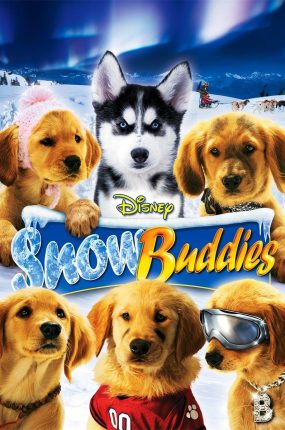 粤语配音电影雪地巴迪 雪地小英雄 宝贝狗雪地历险 Snow Buddies