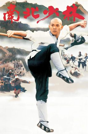香港电影南北少林 南北少林粤语版