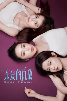 电视剧亲爱的仇敌粤语配音版全24集 亲爱的仇敌粤语版