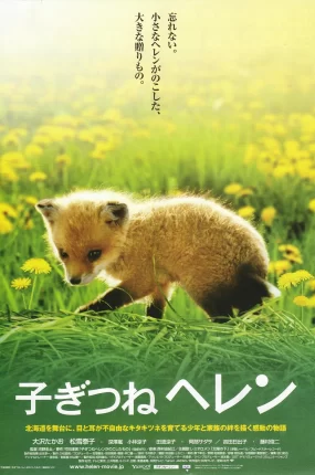 粤语配音电影子狐物语 生命奇迹小狐狸 小狐狸海伦 子ぎつねヘレン
