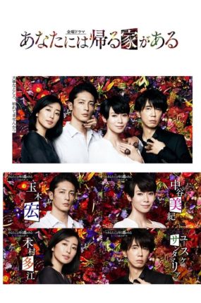 日剧有家可归的恋人们粤语配音版全8集 有家可归的恋人们粤语版